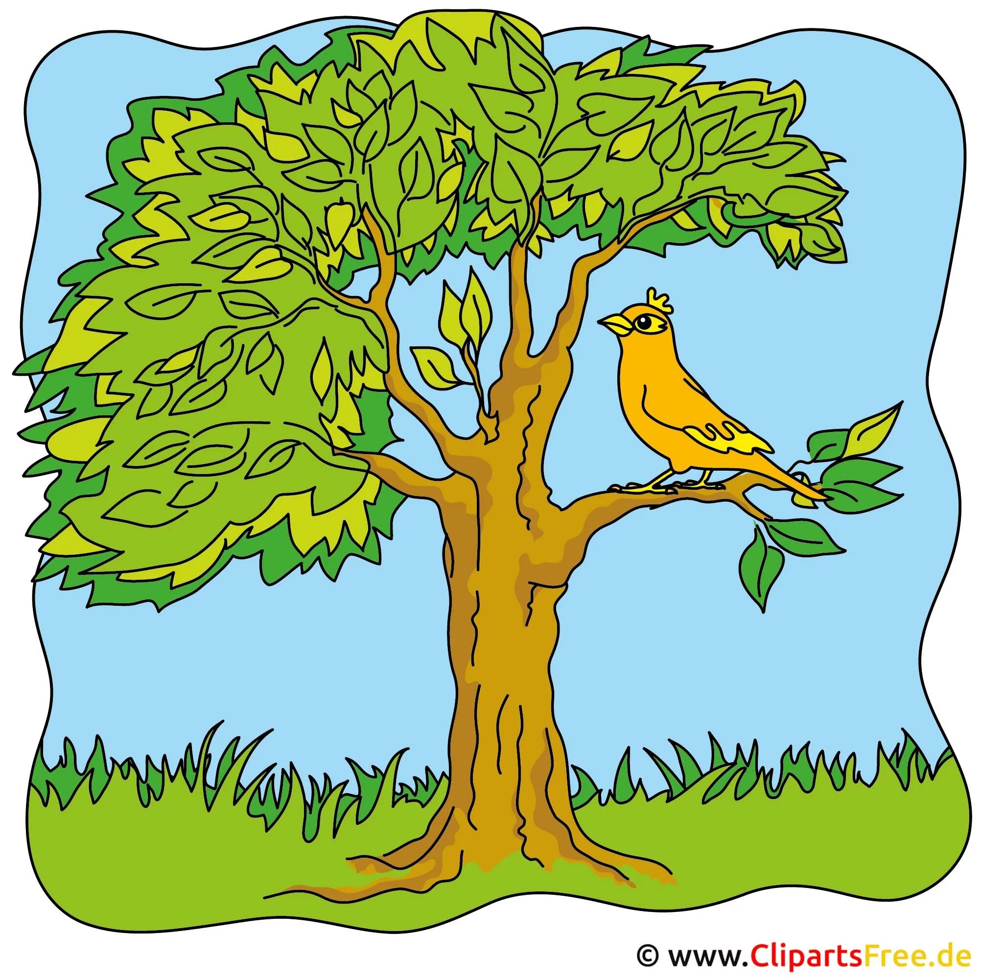 That bird is in the tree