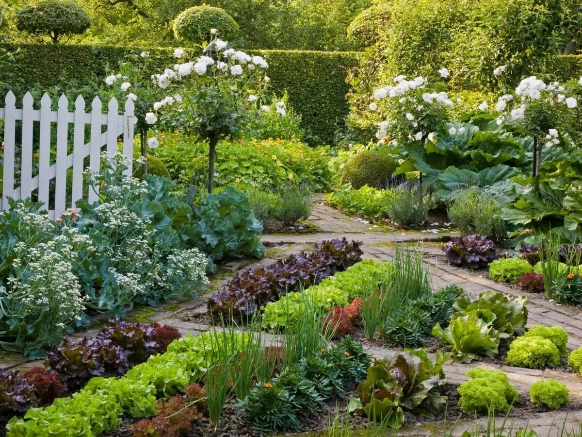 Мой сад. Огородный миксбордер. Миксбордер Аптекарский огород. Овощной миксбордер. Плодовый сад и огородик ландшафт.