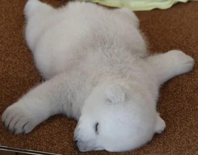 White sleep