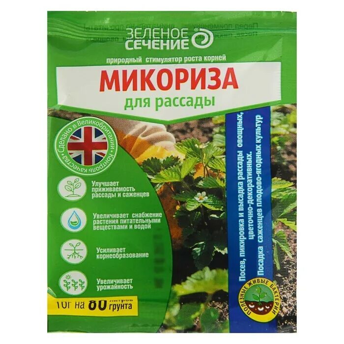 Морфология и физиология микроорганизмов. Стимуляторы роста микроорганизмов. Стимуляторы роста микроорганизмов. Фазы роста бактерий микробиология. Влияние растительных экстрактов на рост микроорганизмов.