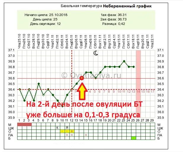 Температура тела 37 а базальная температура 37 и 5. График базальной температуры без овуляции. БТ 37.1 после овуляции. График базальной температуры после овуляции. Температура после овуляции 37