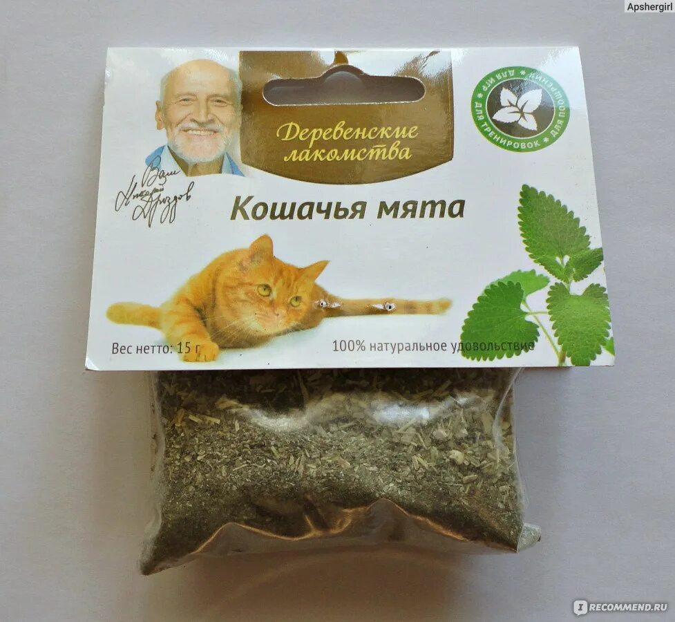 Сколько давать кошачью мяту. Котовник кошачий (мята Кошачья). Лакомство д/кошек "Кошачья мята" пакет 5г. Семена мяты для кошек. Кошачья мята семена.