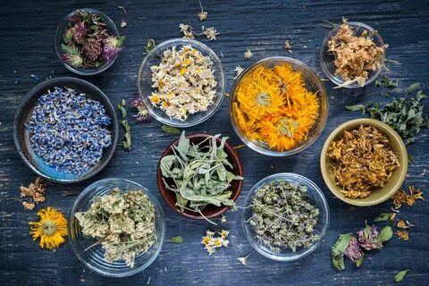 Medicine plants