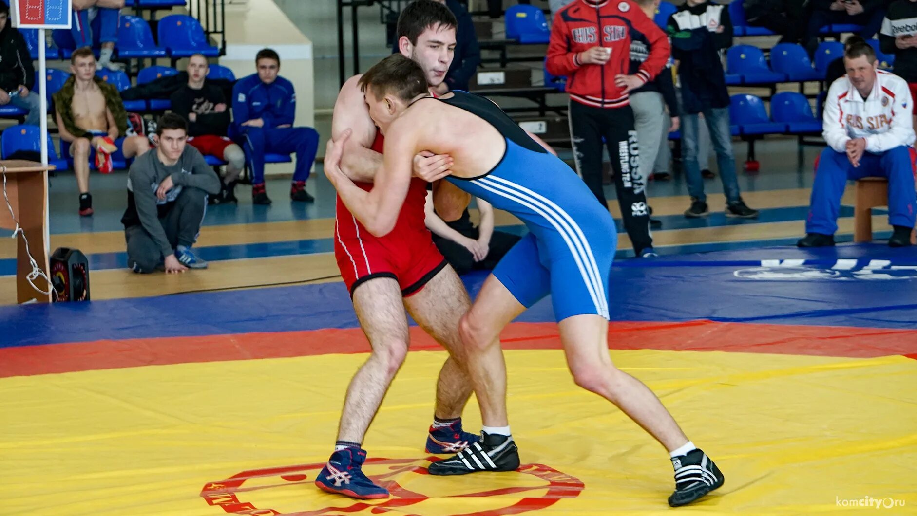 греко римская борьба курган