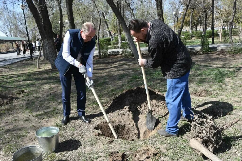 Что можно посадить сейчас. Дети сажают деревья. Посадка деревьев. Посадка деревьев экология. Субботники Сычевский район.