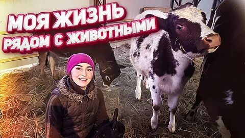Молодая ферма новое видео