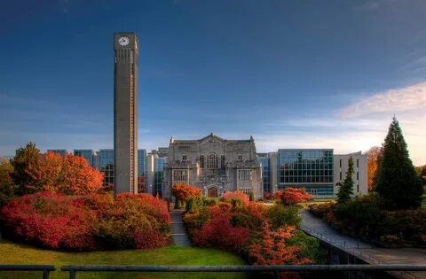 British universities