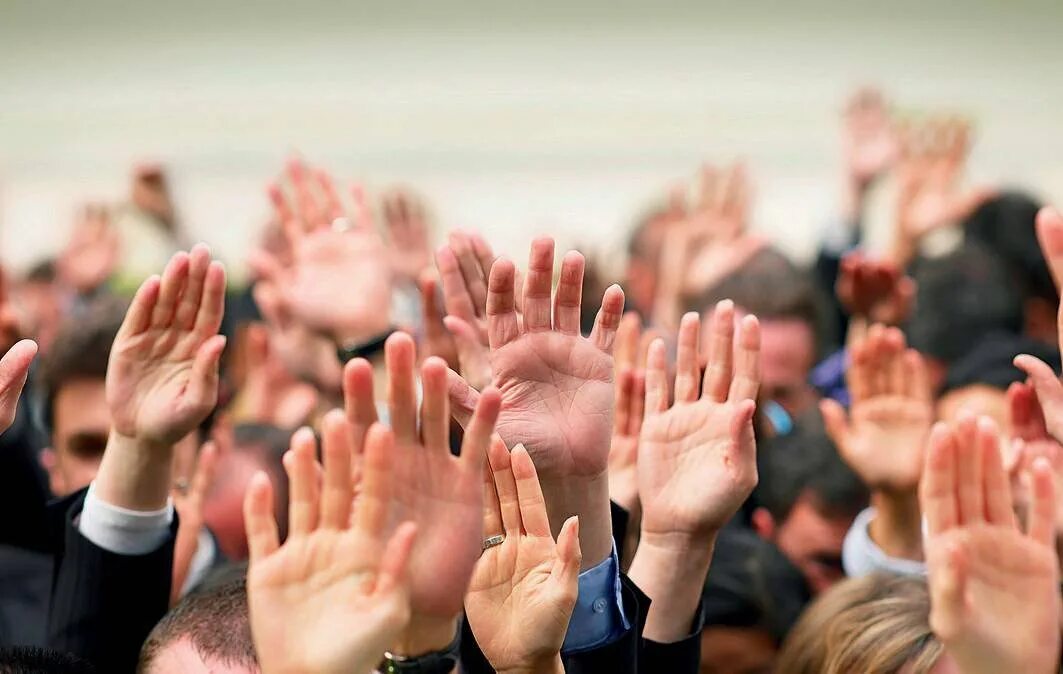 Люди голосуют. Голосование на заседаниях. Собрание людей. Депутат спиной. Собрание голосует.