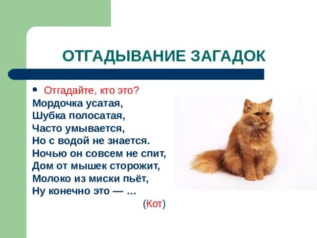 Часто умывается а с водой не знается. Мордочка усатая шубка полосатая часто умывается а с водой. Часто умывается а с водой не знается отгадка. Мордочка усатая.