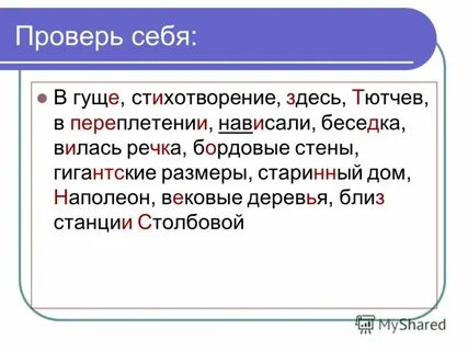 Перед нами открылся великолепный вид река вьется