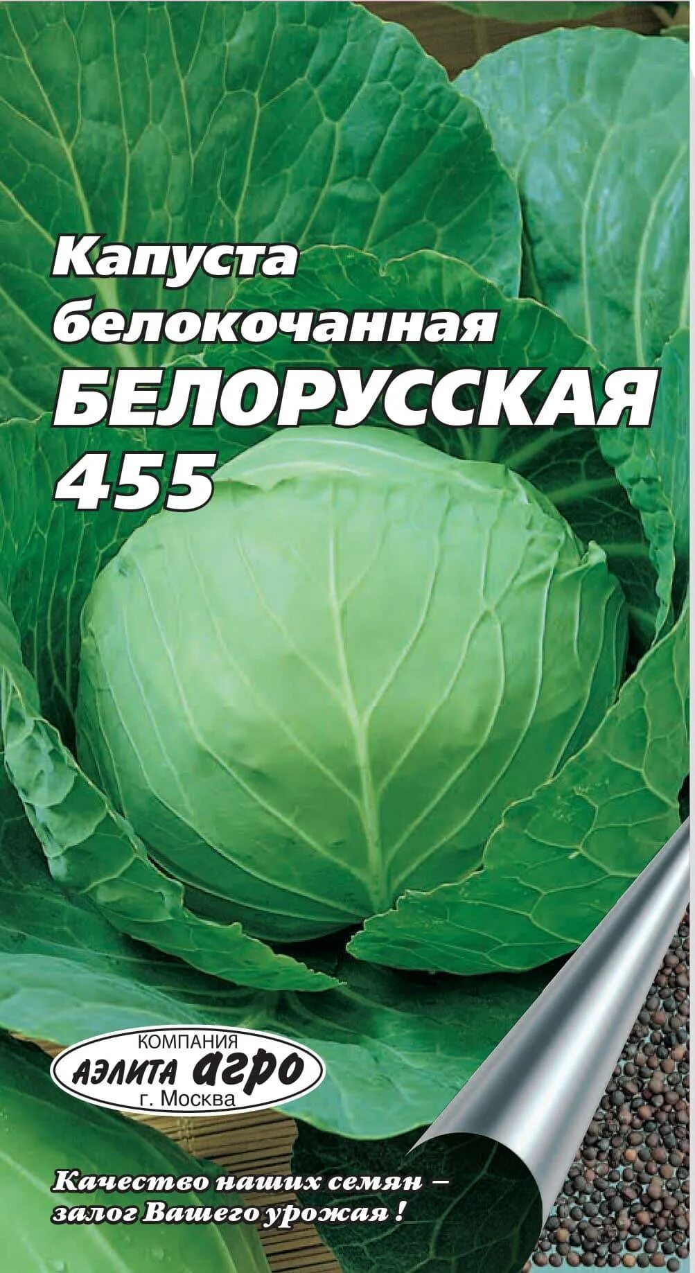 Капуста белорусская описание сорта отзывы. Капуста белокочанная белорусская. Капуста белорусская 455 характеристика. Капуста белорусская 455 описание сорта. Капуста белорусская 455 удачные семена.