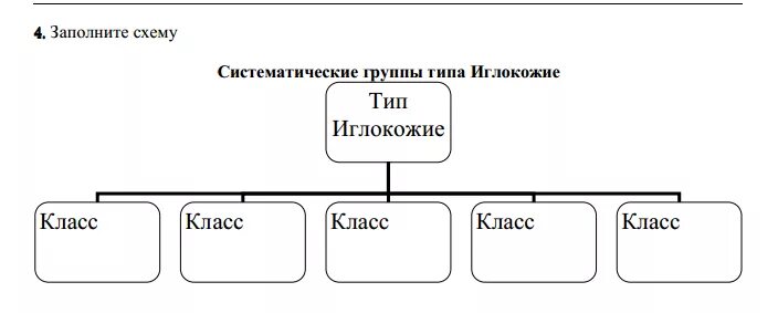 Заполните схему. Систематические группы иглокожих. Закончите схему систематические группы типа иглокожие. Типы схем. Систематические группы схема