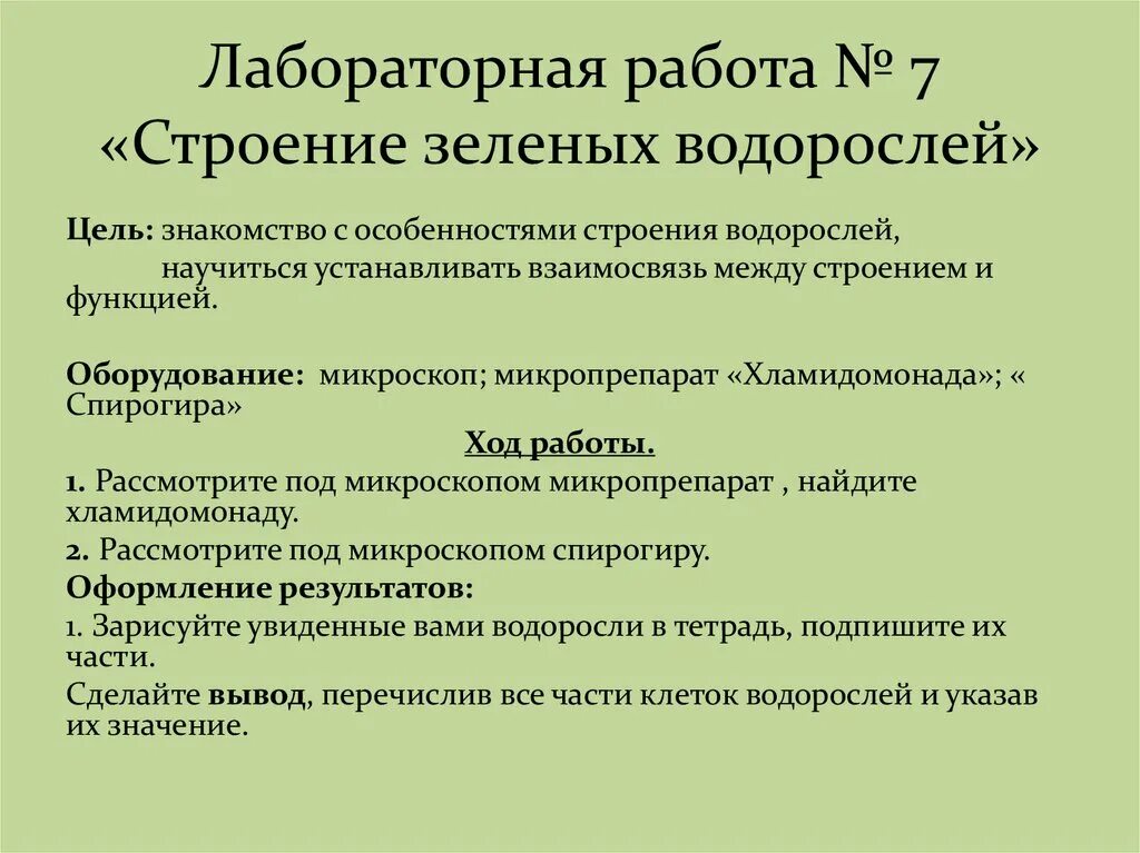 Лабораторная работа строение водорослей