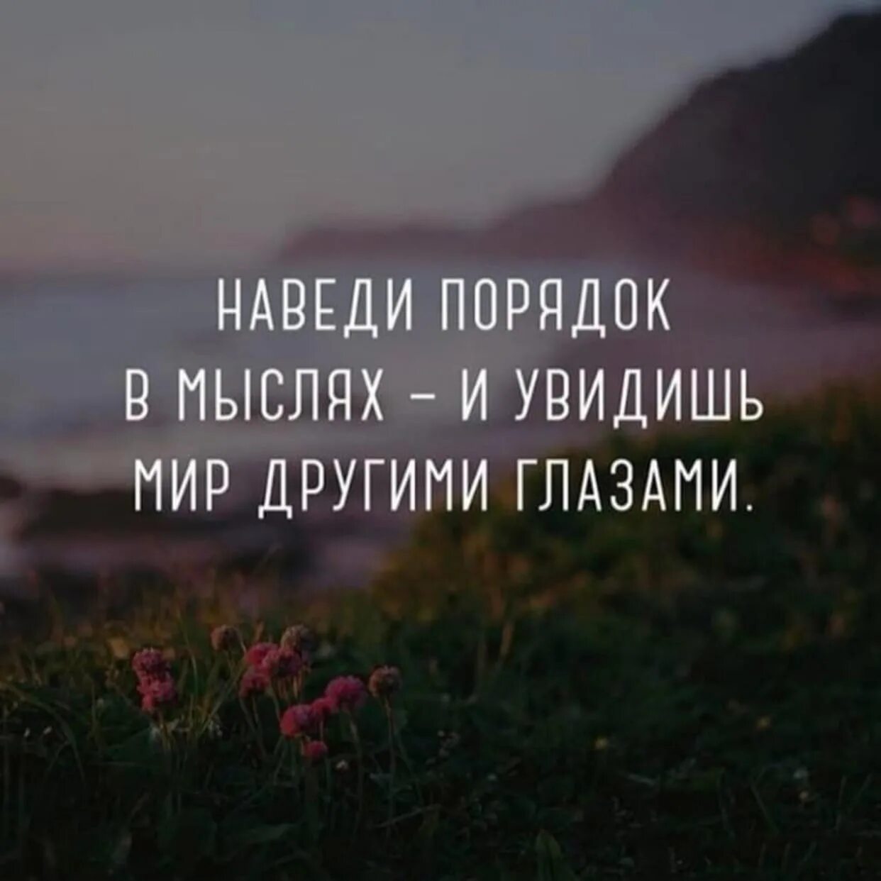 Идея цитаты. Наведи порядок в мыслях. цитаты про мысли в голове. цитаты про мир. высказывания о мыслях в голове.