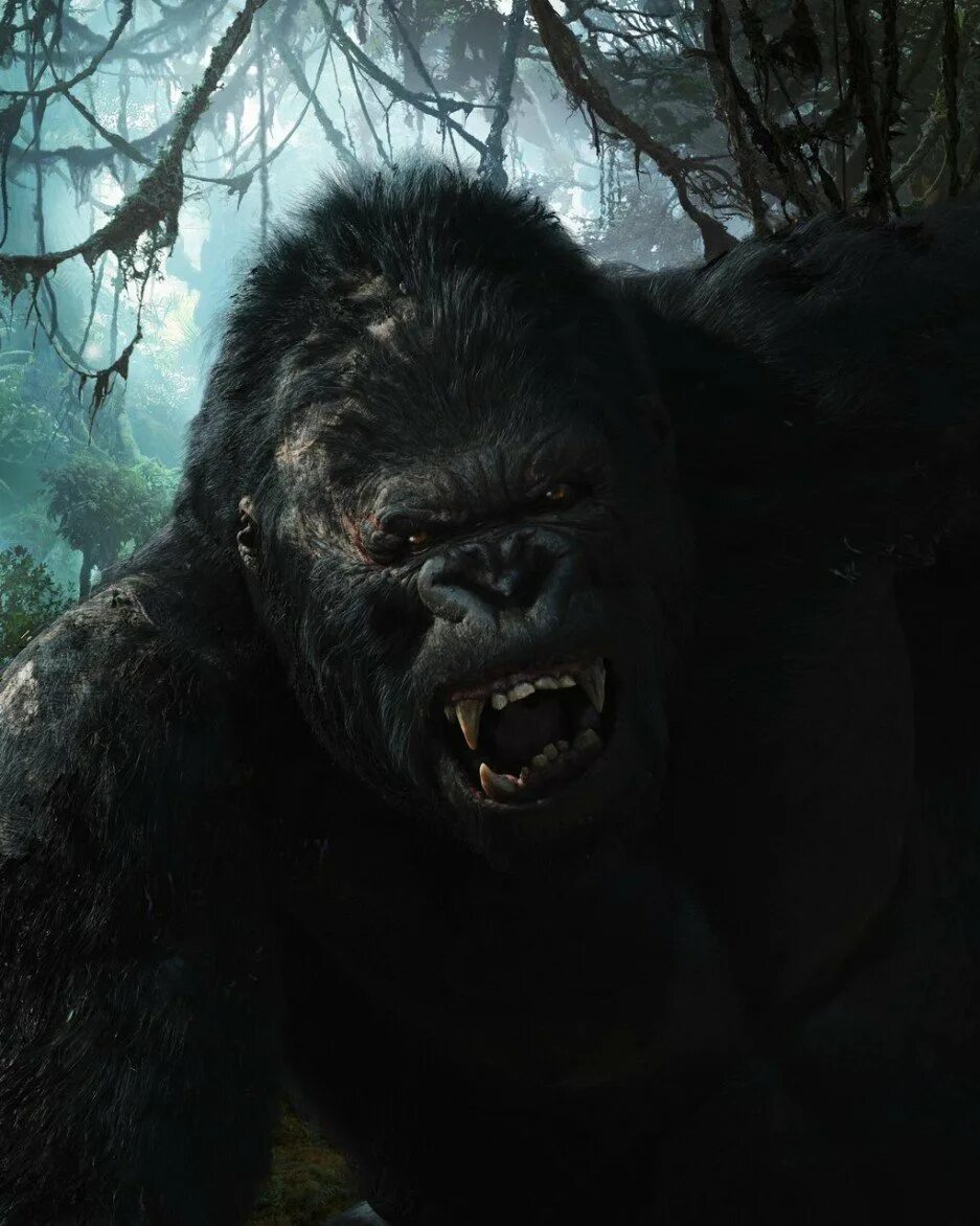 King kong 4. Кинг Конг 2005. Кинг Конг King Kong (2005). Горилла Кинг Конг 2005.