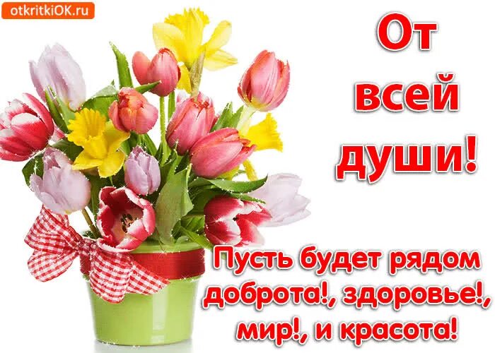 Пусть будут песни от всей души. Музыкальная анимация. Пусть мелодия души. Пусть в вашей душе всегда цветут цветы. Пусть будут песни от всей души.