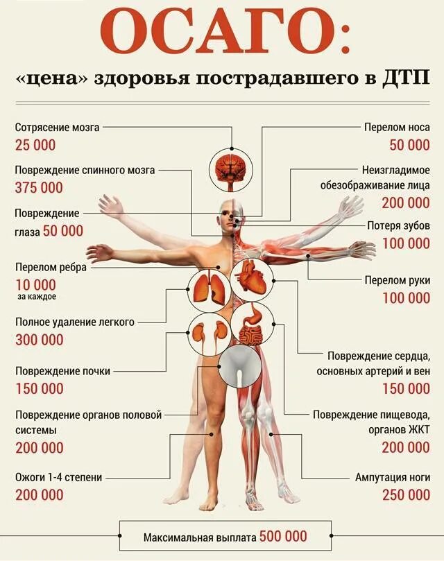 Самый дорогой орган человека. Выплаты по ОСАГО при ДТП 2020. Выплаты по ОСАГО по здоровью. Схема выплаты по ОСАГО. Выплата страховки за переломы.