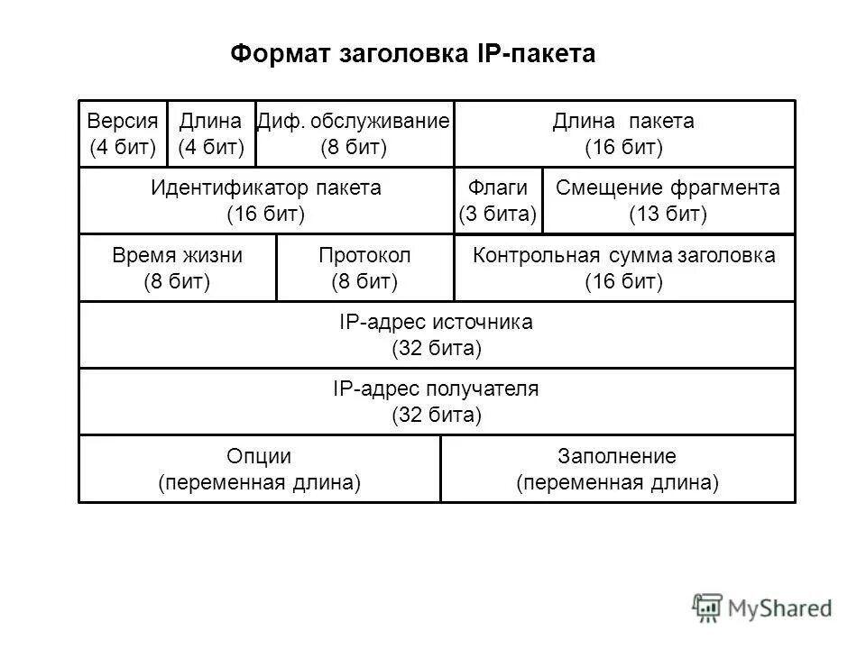 Пакет ip адресов. IP протокол структура пакета. Структура IP пакета ipv4. Структура заголовка IP пакета. Формат пакета TCP IP.