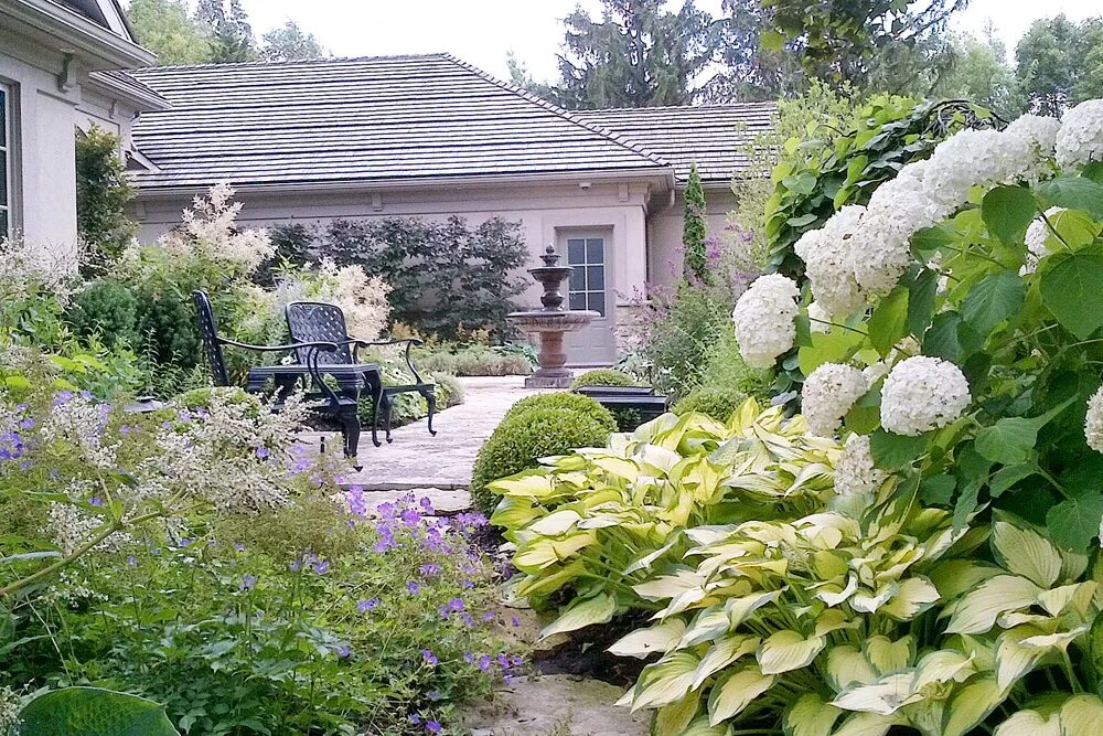 Миксбордер Людмилы белых. Малоуходный сад в стиле Прованс. Сад блогера