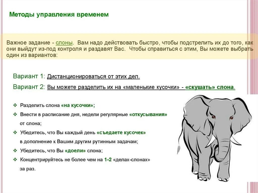 Метод слона в тайм менеджменте. Разделить слона на бифштексы. Слон задания. Слон по кусочкам.