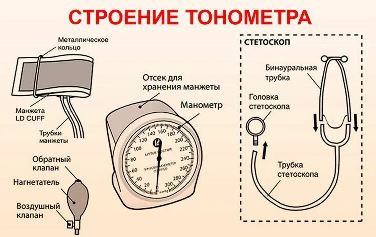 Давление простата. Части тонометра механического названия. Из чего состоит тонометр для измерения давления механический. Строение тонометра механического. Из чего состоит прибор для измерения артериального давления.