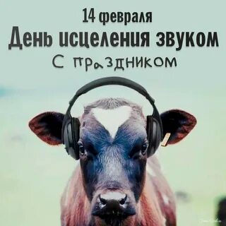 Всемирный день исцеления звуком