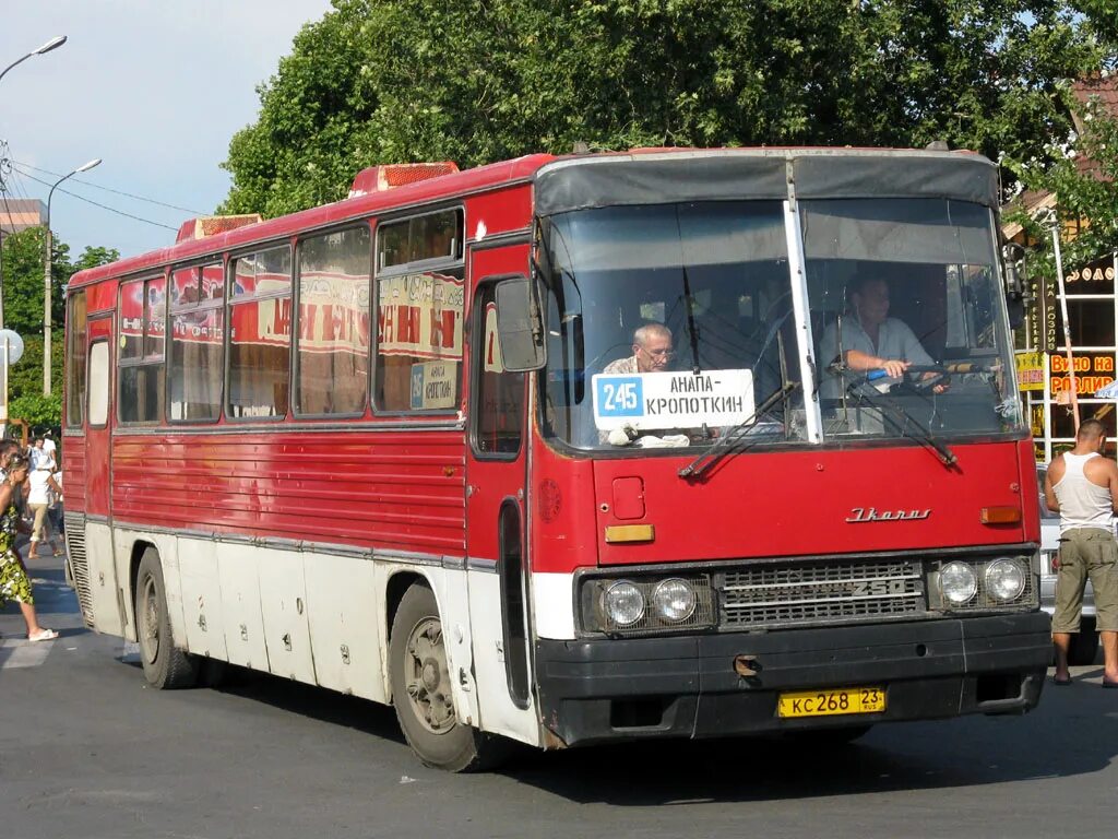 Анапа кропоткин автобус. Икарус 250 Краснодар. Икарус-250.55. Ikarus 250.59. Ikarus 250.59 Киров.