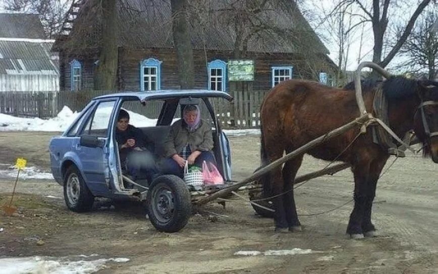 Тем временем в одной из. Приколы про японию. Автомобиль запряженный лошадью. Надпись тем временем. Мемы демотиваторы.