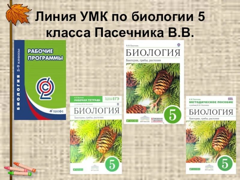 Пасечник биология 7. УМК по биологии Пасечник 5-9 класс ФГОС линия жизни. Биология Пасечник 5 класс УМК. 6 Класс биология Пасечник ФГОС.