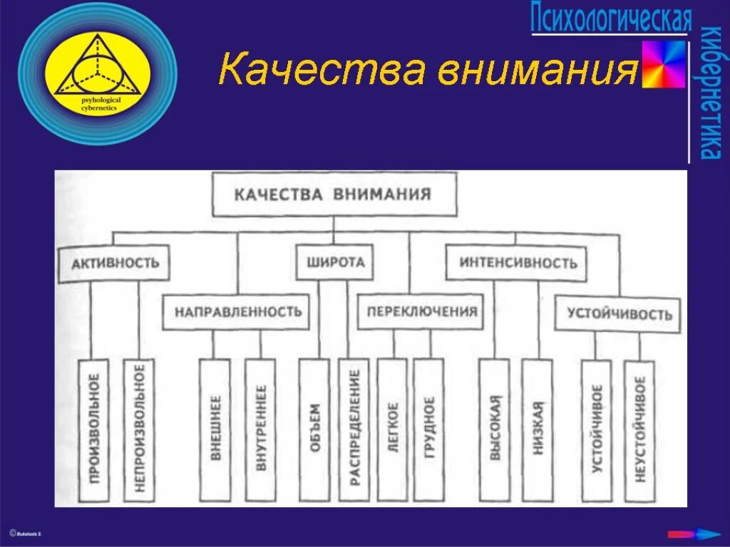 Качества внимания. Качества внимания в психологии. Перечислите качества внимания. К качествам внимания относятся.