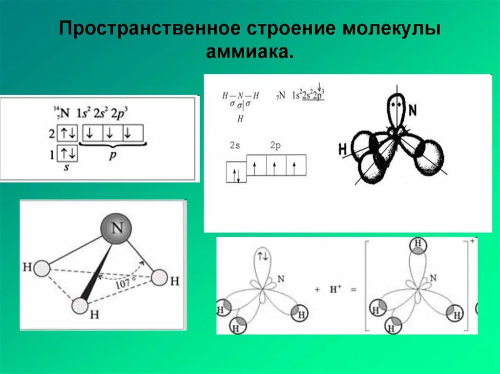 Определение гибридизации. Пространственная конфигурация молекулы ccl4. Пространственная конфигурация молекулы аммиака:. Nh3 строение молекулы. Пространственная структура nh3.