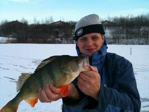 Спас каменка рыбалка. Калининский пруд пензенская область. Река каменка калуга. Озеро каменка новосибирск рыбалка. Каменка калужская область рыбалка.