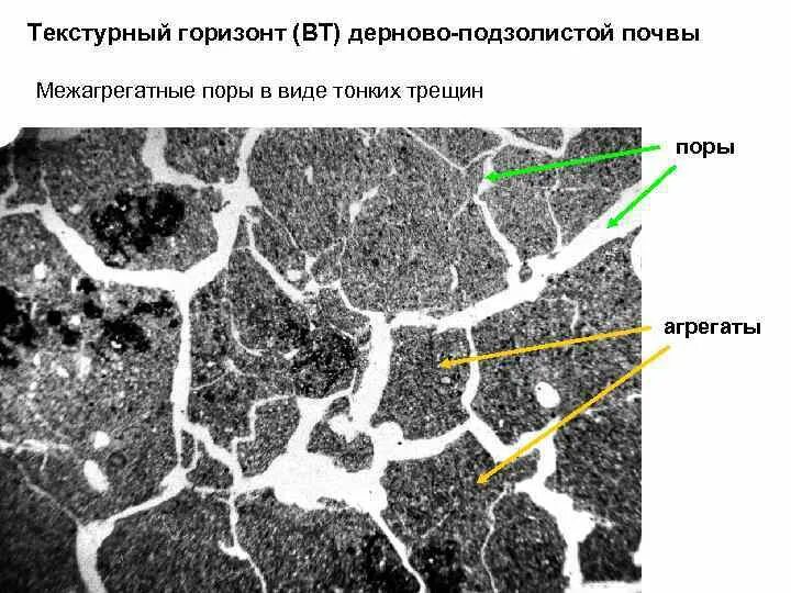 Поры и трещины. Поры в почве. Порозность почвы. Пористая почва. Пористость почвы.