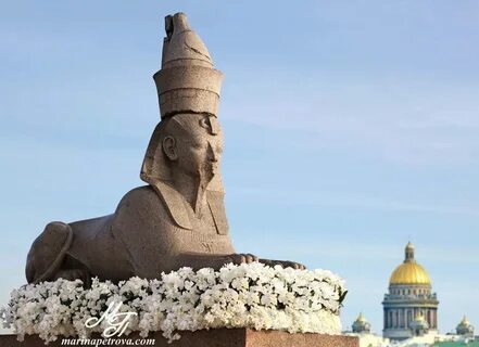 Сфинкс владикавказ пожарского