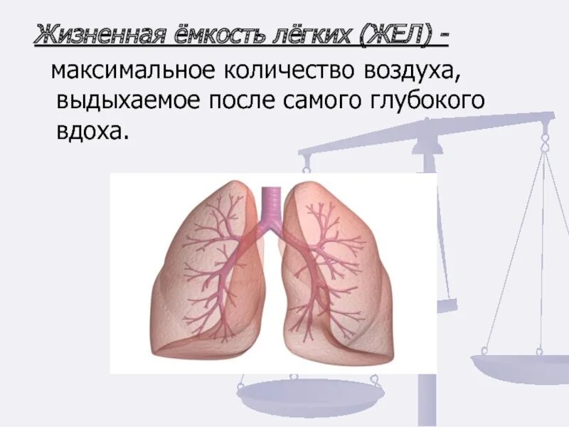 Изменения объема легких. Механизм дыхания жизненная емкость легких 8 класс. Жизненная емкость легких жел это. Жизнена ёмкость лёгких. Житзненная емкость легки х.