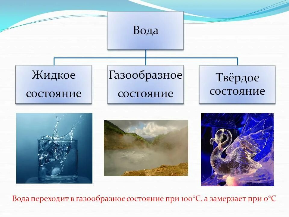 Вода и ее роль в природе. Вода в природе и жизни человека. Характеристика вода в природе. Вода биология.