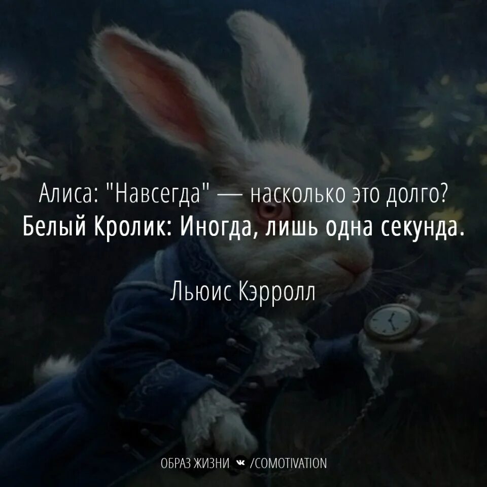 Цитаты из алисывстранп чудес. Цитаты кота из алисы в стране чудес. Цитаты из алисы в стране чудес. Фразы из алисы в стране чудес. Цитаты из алиса в стране чудес и алиса в зазеркалье.