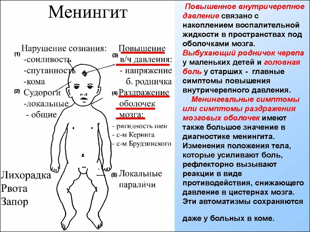 Внутричерепное давление ребенку год. Повышенное внутричерепное давление у ребенка симптомы. повышенное внутричерепное давление симптомы у новорожденных. черепное давление симптомы у детей.