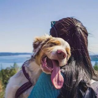 Фото поднимет настроение