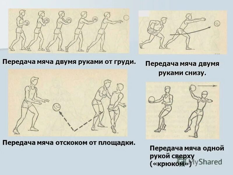 Передача мяча одной рукой снизу