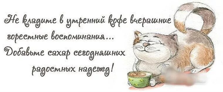 Утро прошедший. Доброе утро понедельника цитаты. мудрые мысли про понедельник. доброе утро понедельника с фразами. красивые цитаты с добрым утром понедельник.