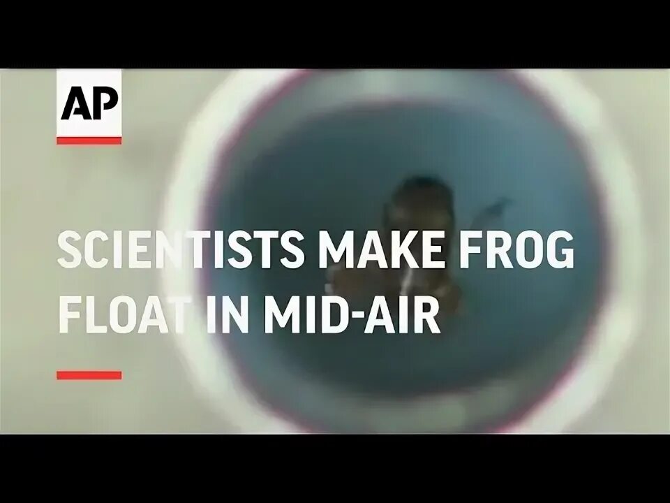 The scientist have made a. The scientist have made a