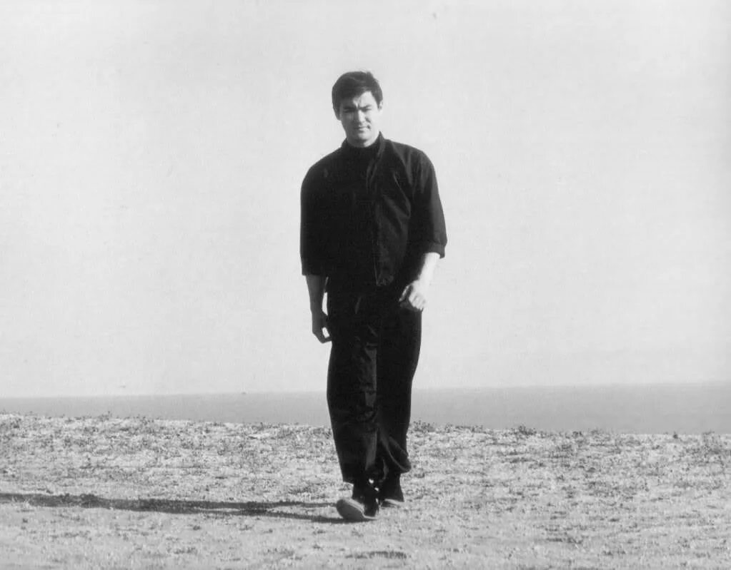 брюс ли путь совершенства