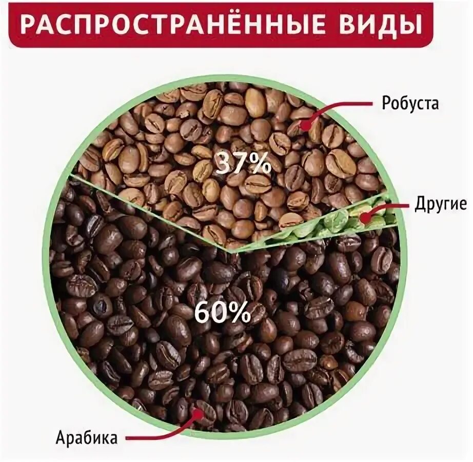 Что дает робуста. Виды кофе арабика и робуста. отличие зерен арабики от робусты. кофе в зернах арабика и робуста. зёрна кофе арабика и робуста разница.