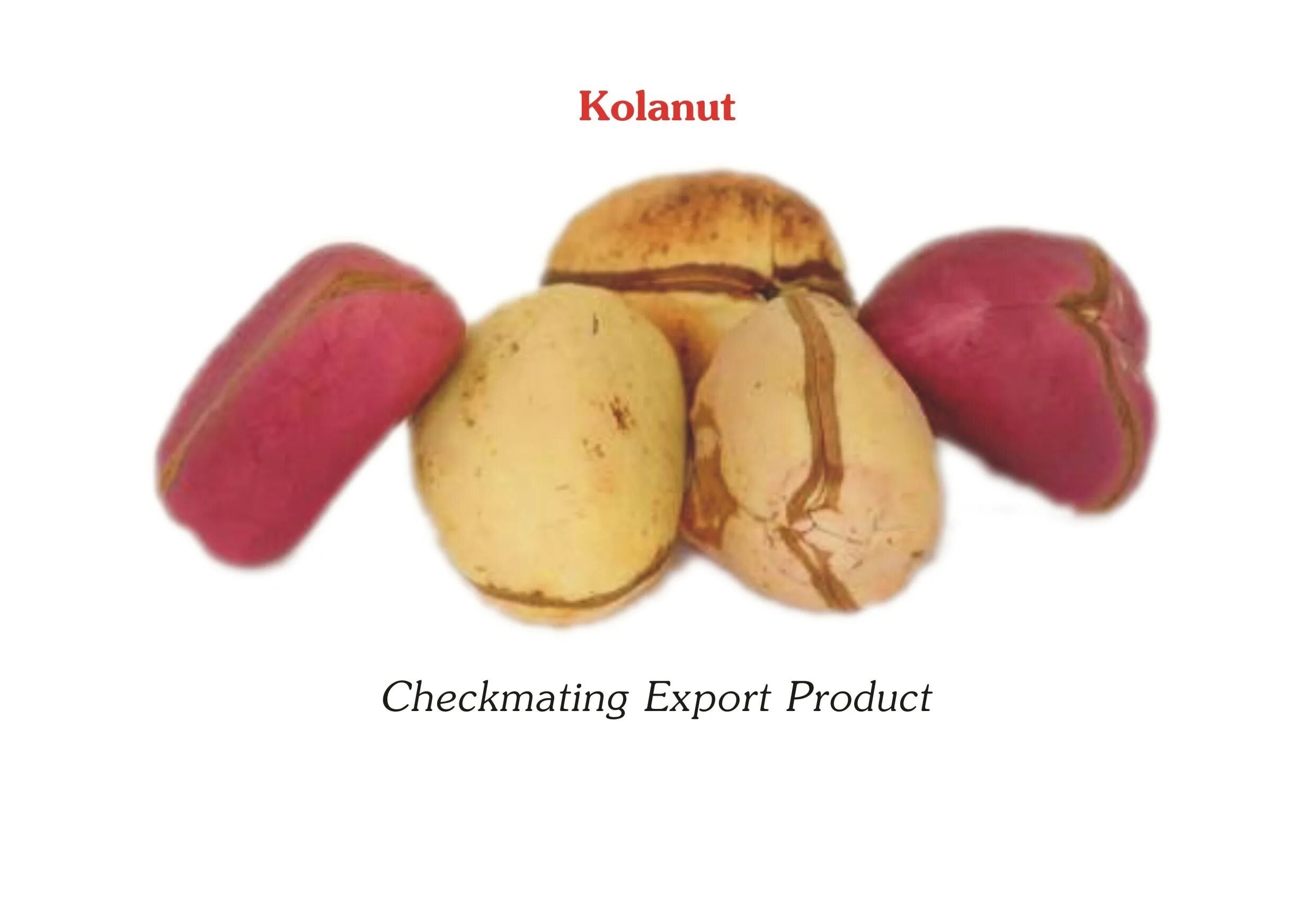 Орех кола. Kola nut орех. Орех Кока Африка. Орех коки. Орех колы купить