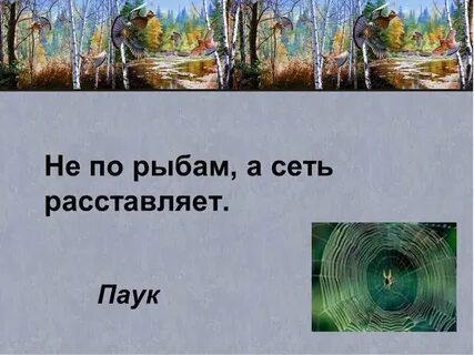 Текст лесные тропинки