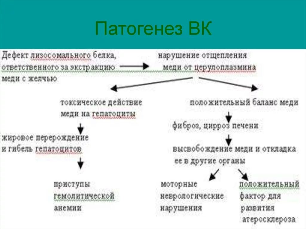 Этология болезни Вильсона Коновалова. Болезнь Вильсона Коновалова этиология. Болезнь Вильсона Коновалова патогенез. Механизм развития болезни Вильсона Коновалова.