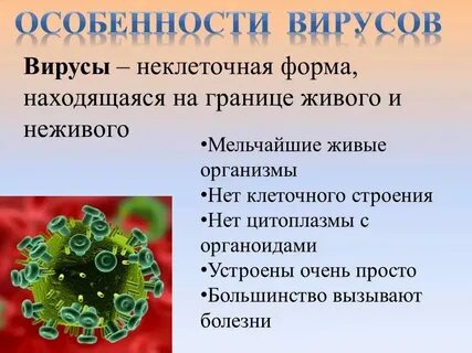 Вирусы биология теория