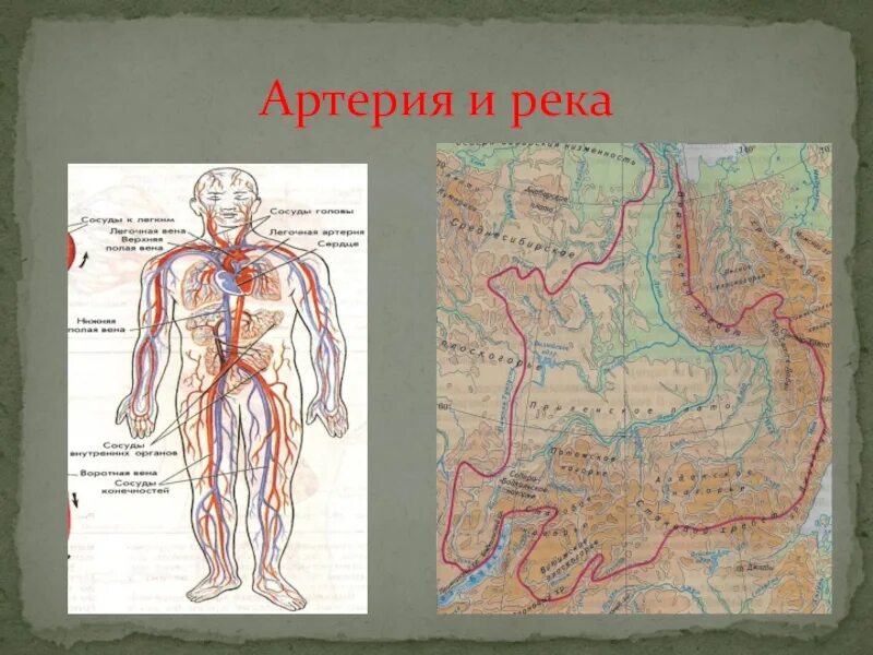 Реки артерии земли 6 класс география. Реки артерии. Водные артерии земли. Реки артерии земли конспект. Назовите реку транспортную артерию урала