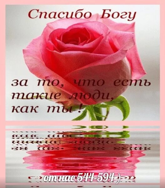 Спасибо тебе. Спасибо что вы есть у меня. спасибо вам за то что вы есть. открытка друзьям спасибо что вы есть. открытки спасибо что вы есть.